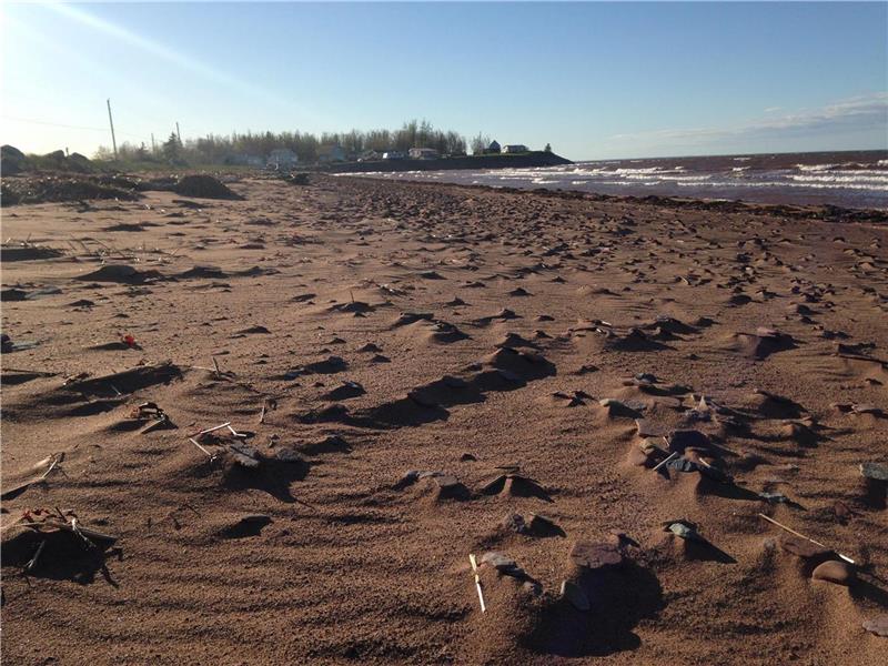 Port Howe NS Beach Life Pugwash Cottage Rental GL24379