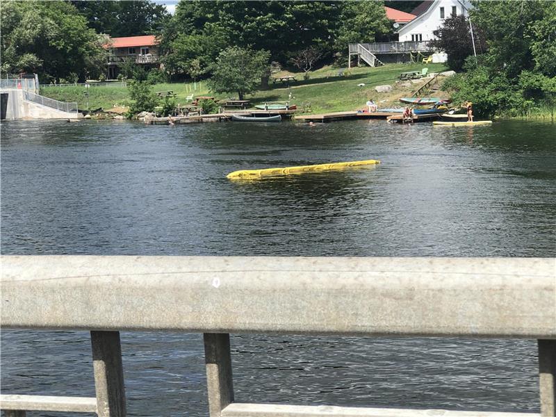 BALSAM LAKE COTTAGE 4 Bdr Coboconk Cottage Rental DI24670