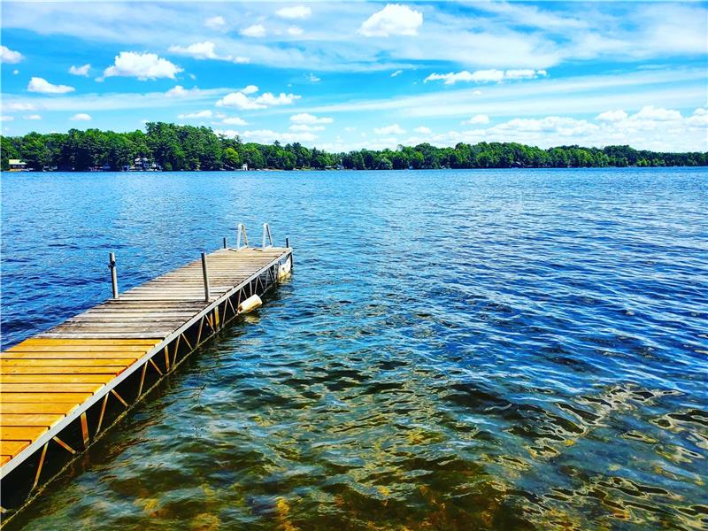 FENELON FALLS, Waterfront Cottage Fenelon Falls Cottage Rental PL