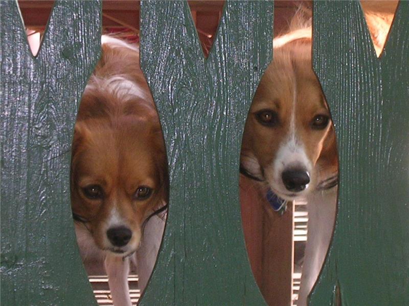 Lake Farquhar Cottage Wilberforce Cottage Rental GL25588