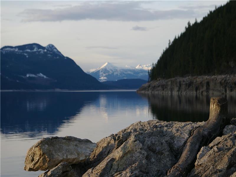 Hot Springs Cottage, Upper Arrow Nakusp Cottage Rental GL26667