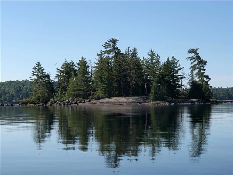 Papineau Lake Beachfront Maple Leaf Cottage Rental DI26973