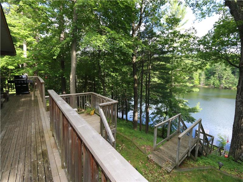 Eagle's Bay Cottage on Kingsford Sydenham Cottage Rental GL29203