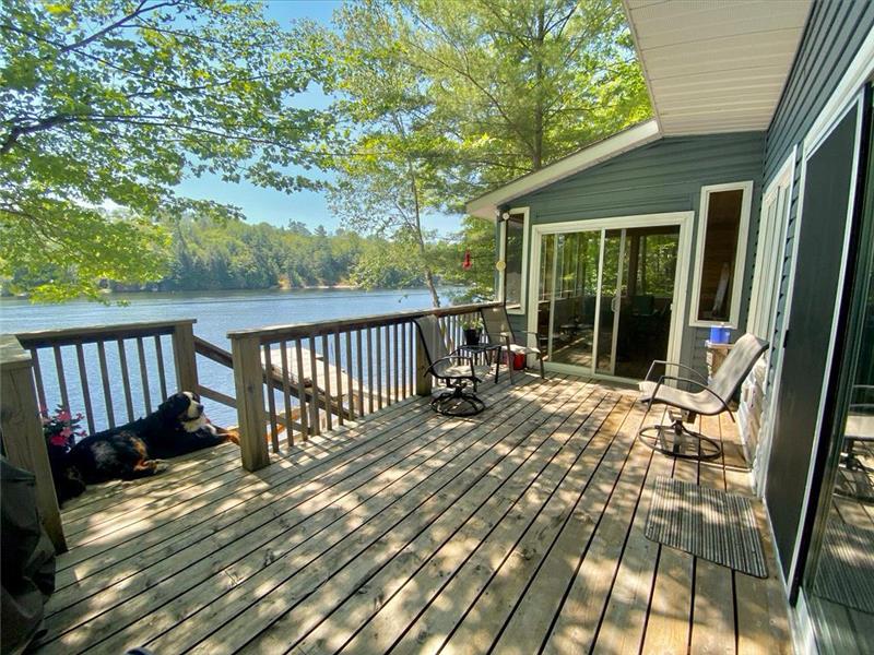 Lakeside Getaway off Bay Mactier Cottage Rental PL29924