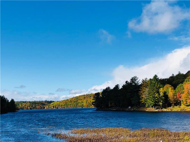 Waterfront Cottage on Millers Lake Perth Cottage Rental GL30656