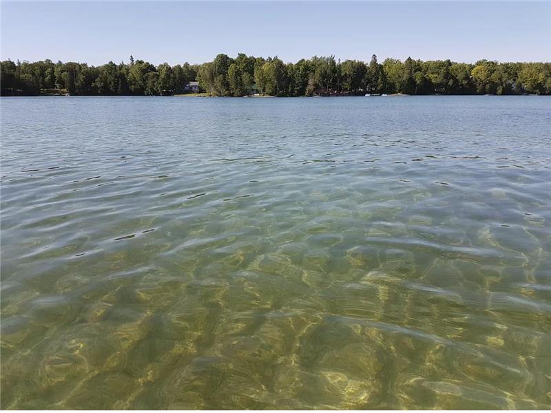 Yellow Cottage Sandy Lake aka Buckhorn Cottage Rental DI31086