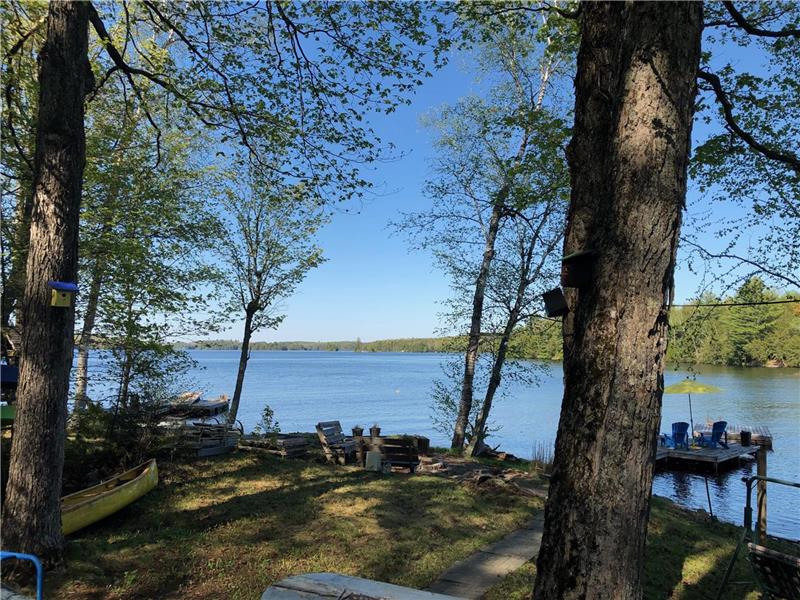 Family Fun Cottage! Apsley Cottage Rental DI31337 CottagesInCanada