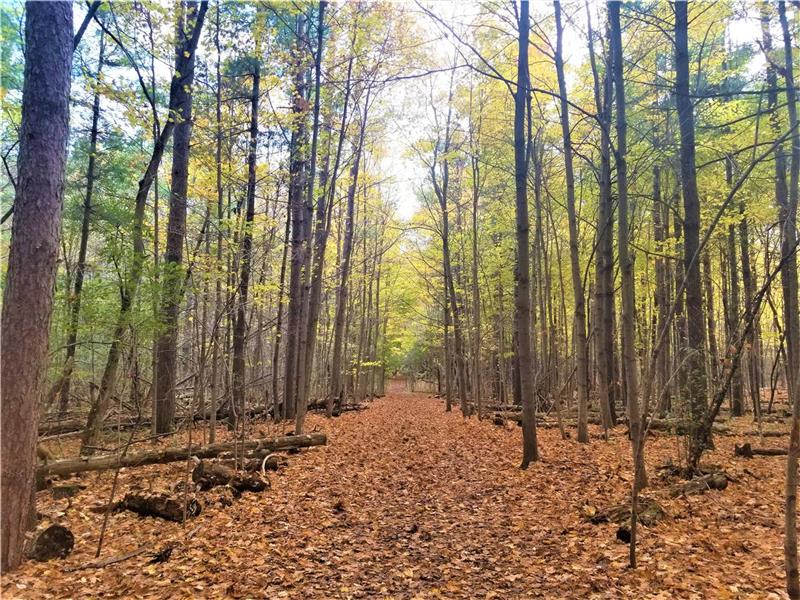 Kasa Kosecki lakeside suite with Puslinch Cottage Rental GL32033