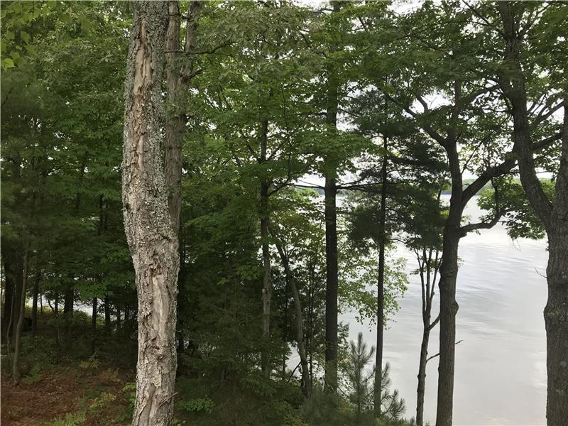 Waterfront cottage in Bracebridge Bracebridge Cottage Rental GL