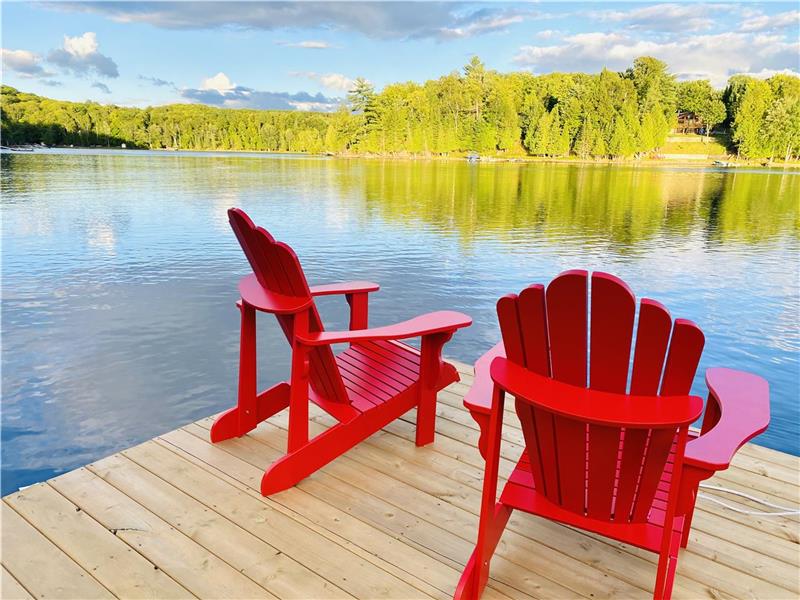 WATERFRONT PARADISE ( COTTAGE ) Minden Hills Cottage Rental DI