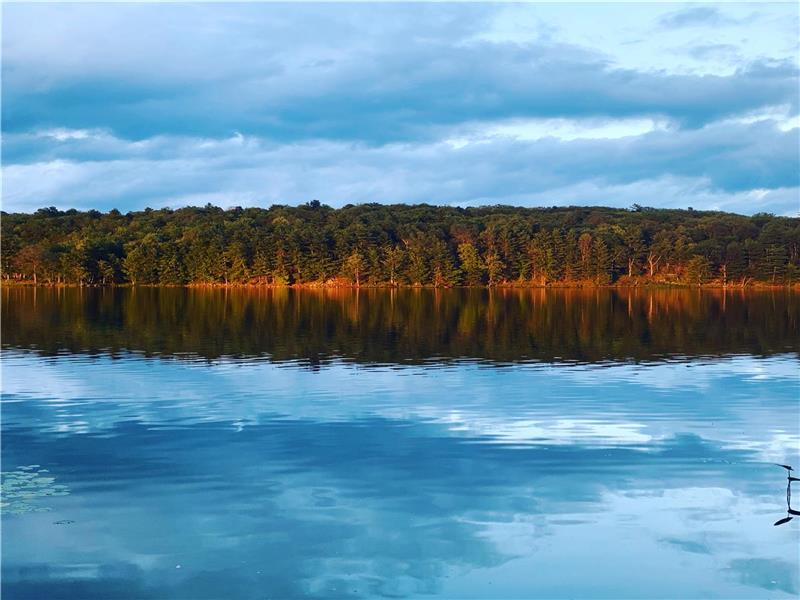 Relax and Unwind, Cozy Lakefront Sydenham Cottage Rental PL32905