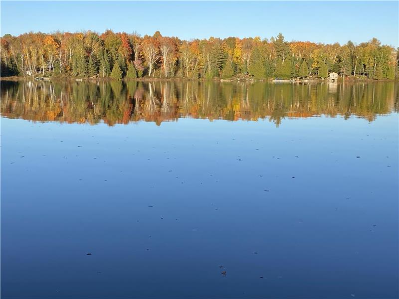 FAMILY Cottage Whitestone Lake near Dunchurch Cottage Rental DI