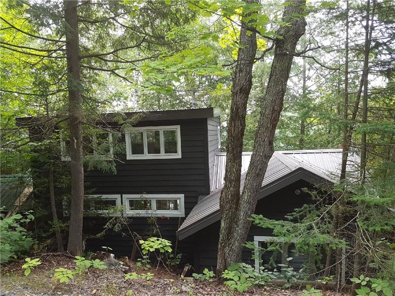 Salmon Trout Lake Lakeview Bancroft Cottage Rental DI34452