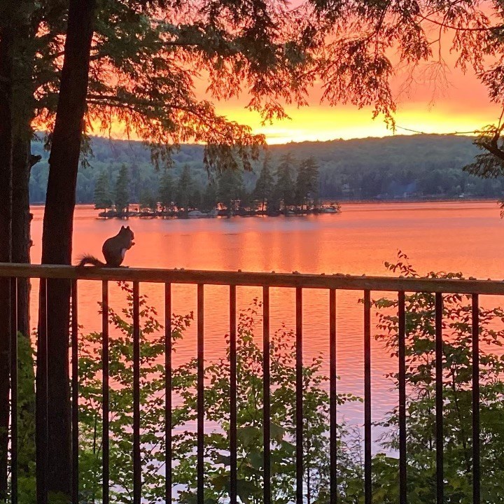 ***15% SUMMER SALE — check website for details ***  Charming, quiet cottages for couples