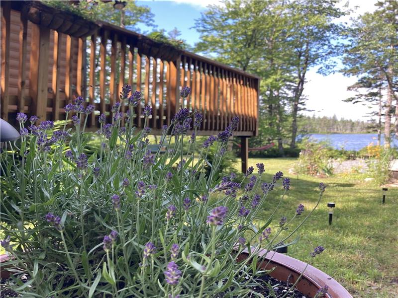 Luna Rosa Chalet Lakefront Upper Musquodoboit Cottage Rental GL