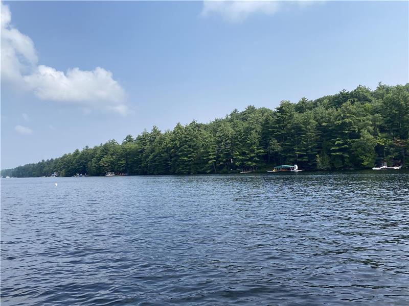 LAKE MUSKOKA ISLAND COTTAGE Gravenhurst Cottage Rental DI36243