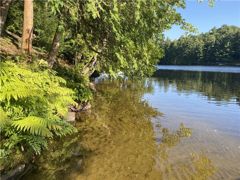 LAKE MUSKOKA ISLAND COTTAGE Gravenhurst Cottage Rental DI36243