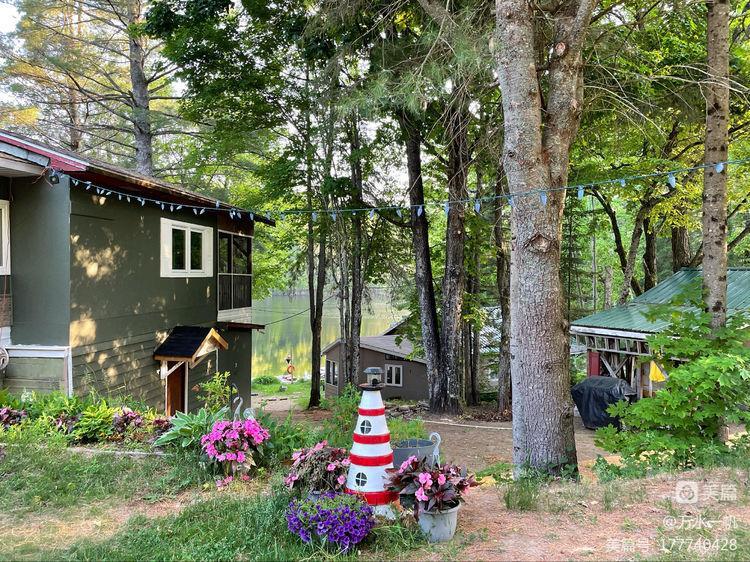 Ontario Waterfront Cottage on Clear Mcarthurs Mills Cottage Rental