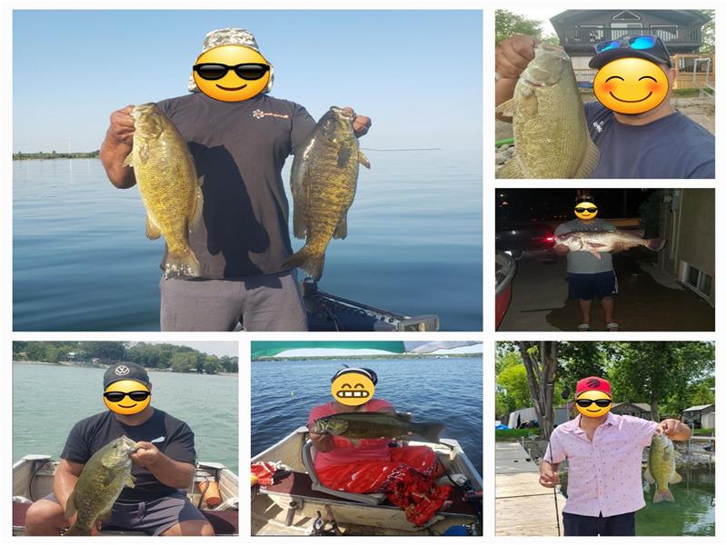 Sunshine Retreat Lake House Selkirk Cottage Rental DI37120