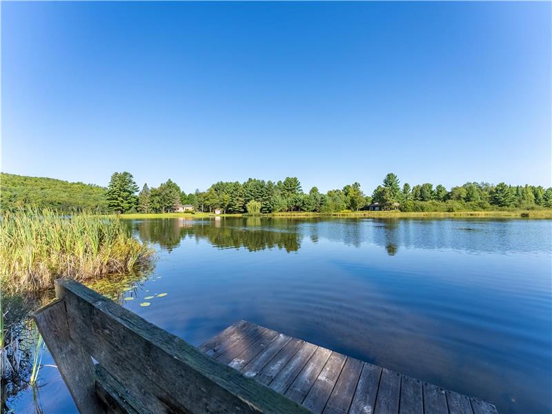 Large 5bed 4bath Lakefront home in Bancroft Cottage Rental PL37128