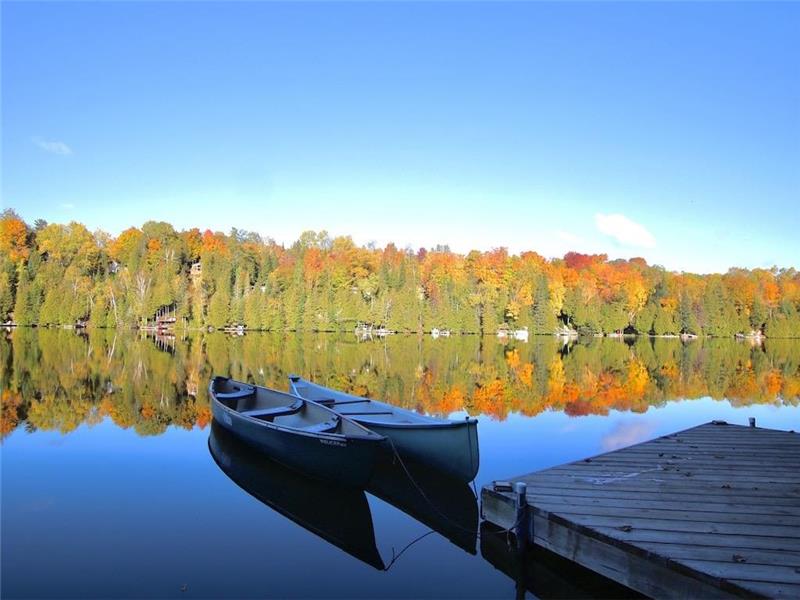 Jeffrey Lake Cabin Lakefront · Bancroft Cottage Rental DI37702