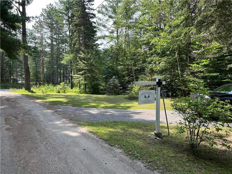 Pine Forest Cottage, Bancroft, Bancroft Cottage Rental DI38331