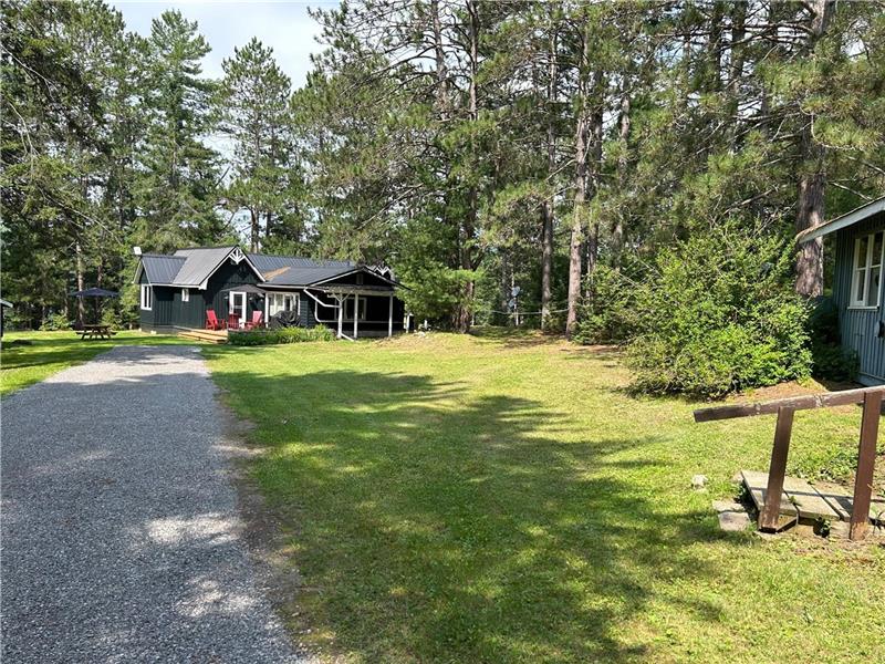 Pine Forest Cottage, Bancroft, Bancroft Cottage Rental DI38331