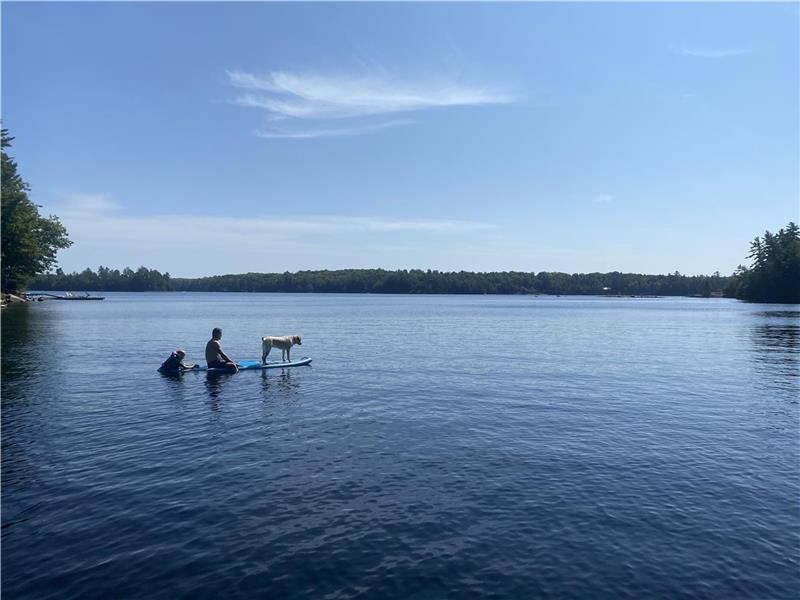 Anstruther Lake Cottage Apsley Cottage Rental GL38780 CottagesInCanada