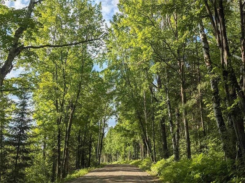 Lucerne Lookout PetFriendly 4BR Bancroft Cottage Rental PL38840