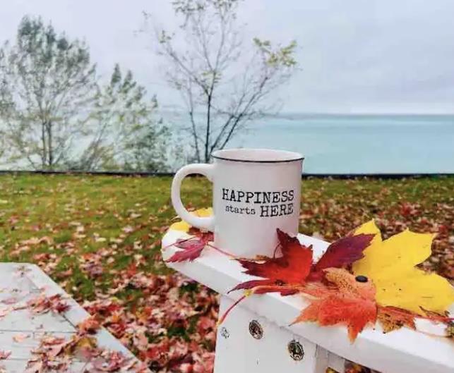 Lake Life Living (pet friendly) Camlachie Cottage Rental GL39183