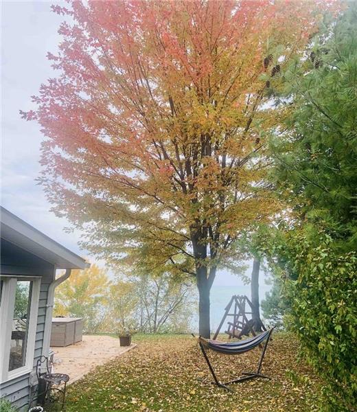 Lake Life Living (pet friendly) Camlachie Cottage Rental GL39183