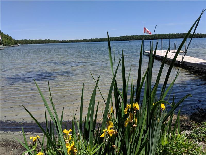 NEW***Cameron Lake Waterfront Tobermory Cottage Rental GL39664