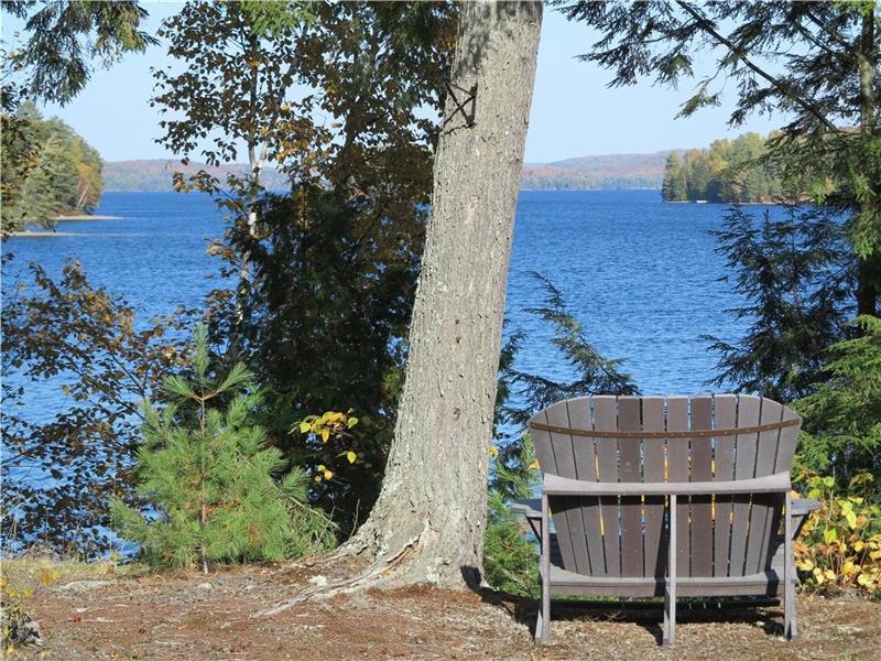 Cottage Retreat on Kawagama Lake on Dorset Cottage Rental DI39983