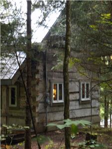 The Beaver Pond Cabin