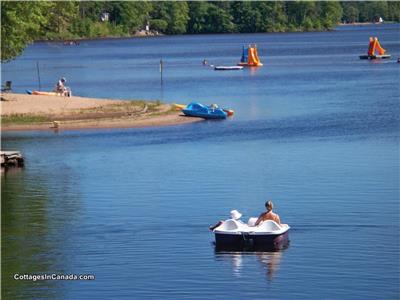 Waterfront Cottages on Golden Lake.Beautiful shallow entry, sandy beach , kayaks,paddleboats,canoes