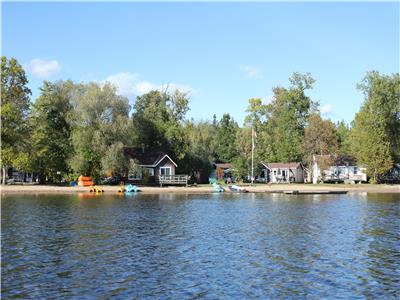 Waterfront Cottages on Golden Lake.Beautiful shallow entry, sandy beach , kayaks,paddleboats,canoes