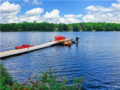 Nouvelle ferme de luxe au bord du lac | 4+ acres privés, rivage de 400 pieds | 2 très grands lits